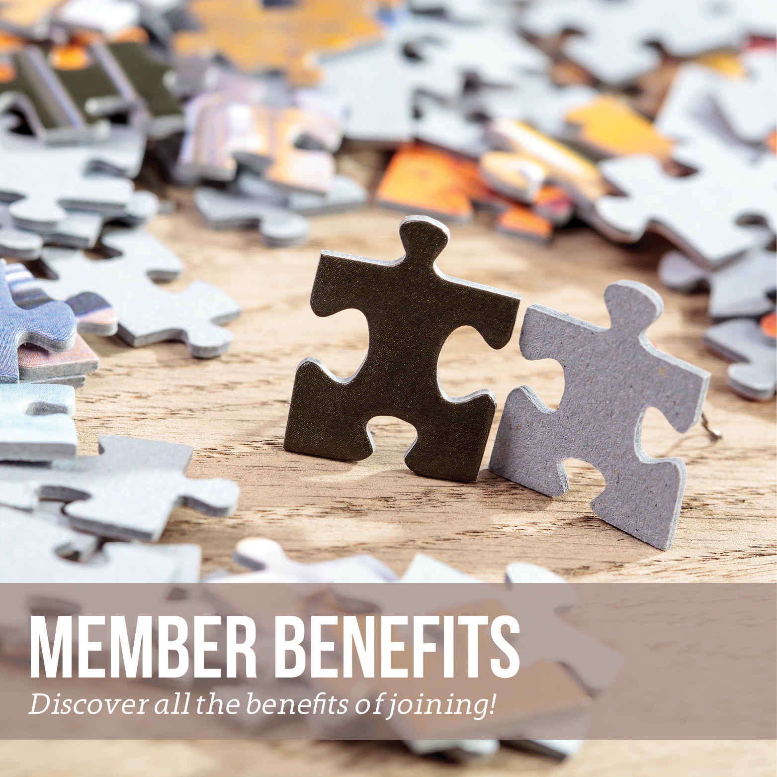 Members Benefits